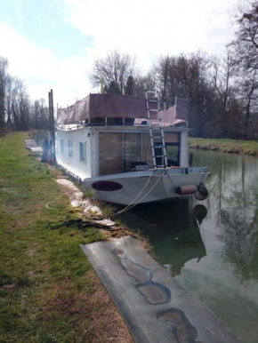  Bateau houseboat camille  Доншери